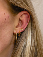 Coral Hoops
